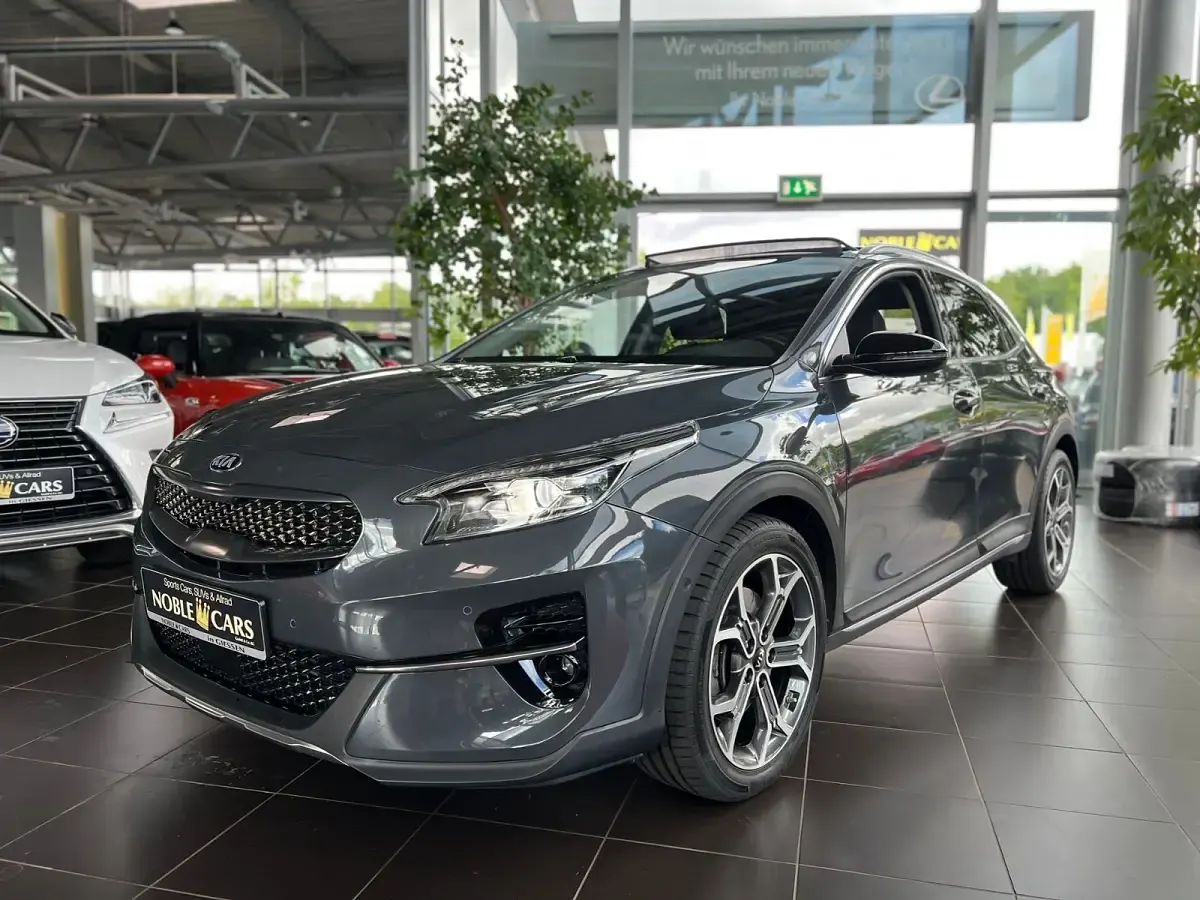 Gebraucht Kia XCeed Platinum Edition 204 PS (150 kW) 2020 Dark penta (metallic) SUV