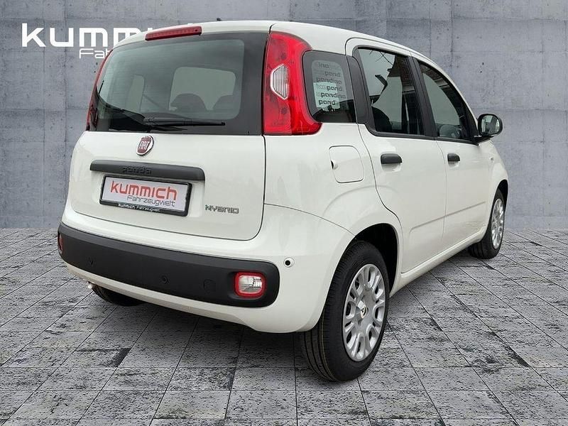 Neu Fiat Panda Icon 69 PS (50 kW) 2025 Weiß Limousine