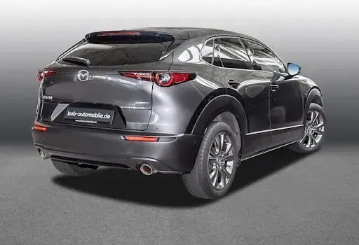 Gebraucht Mazda CX-30 Selection 180 PS (132 kW) 2019 Grau SUV
