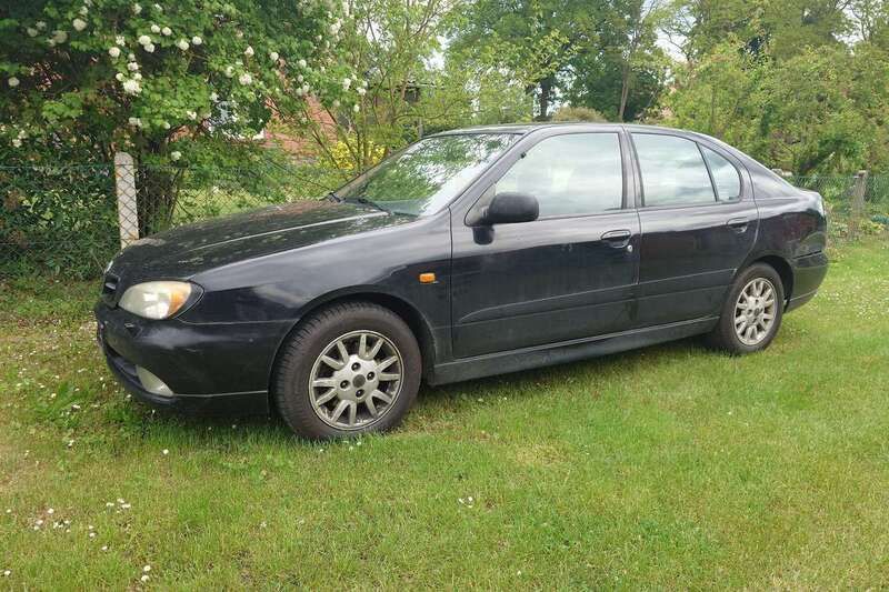 Gebraucht 2000 Nissan Primera Limousine | 1.200 € (Superpreis) - Bild 1/4
