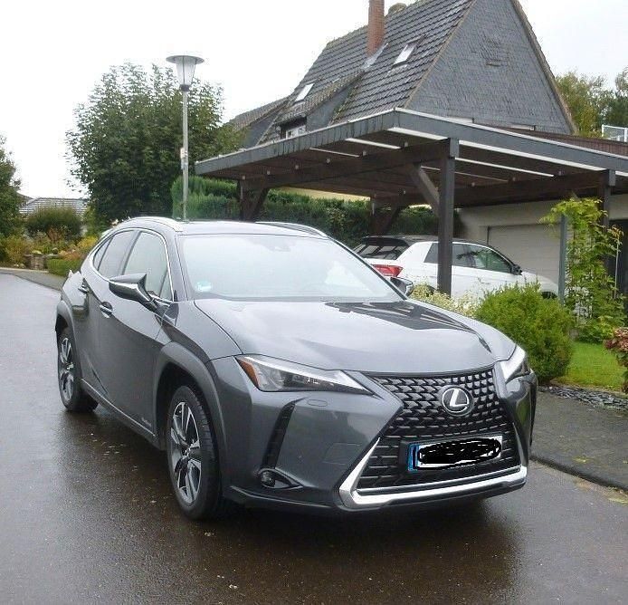 Gebraucht Lexus UX 250h 2023 Grau SUV