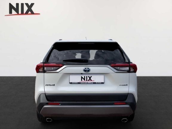 Gebraucht Toyota RAV4 Hybrid Plus 222 PS (163 kW) 2019 Weiß SUV