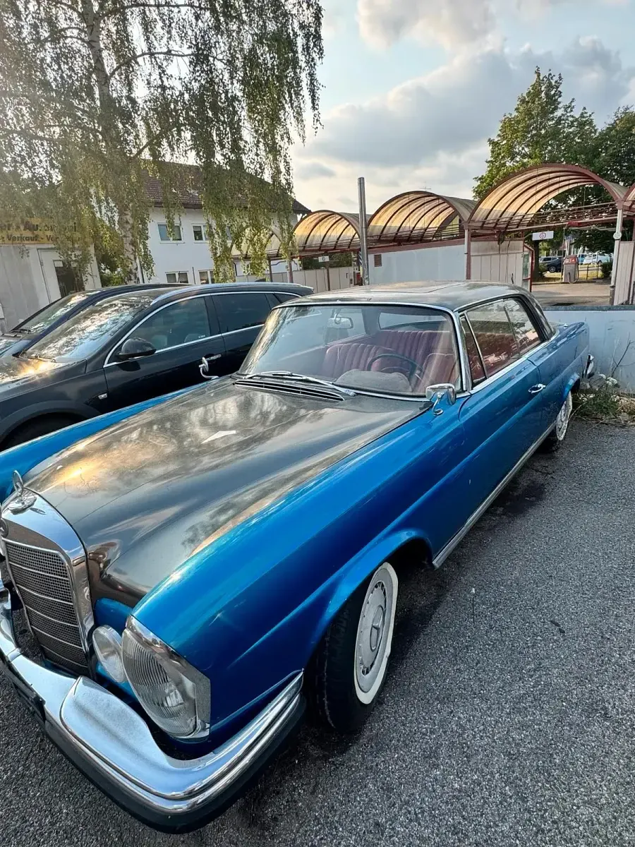 Gebraucht Mercedes 220 120 PS (88 kW) 1962 Blau Coupé
