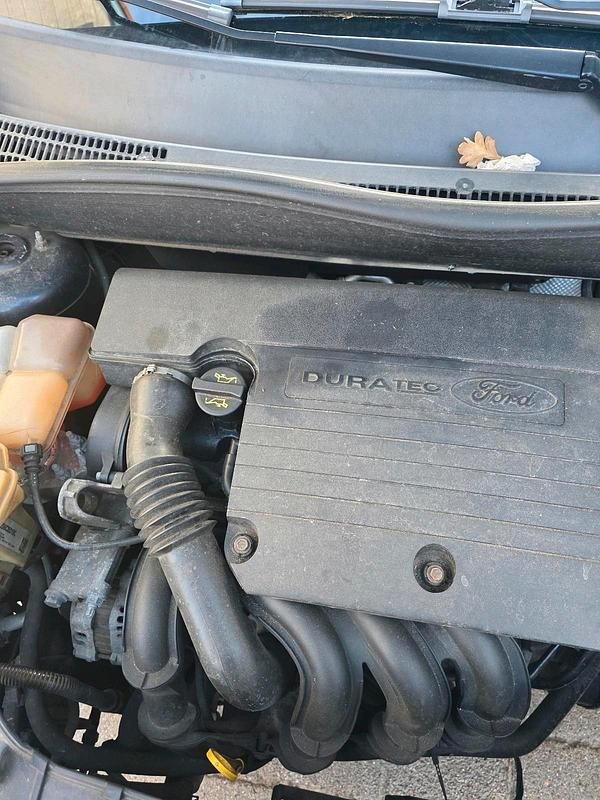 Gebraucht Ford Fusion 80 PS (58 kW) 2004 Blau Kleinwagen