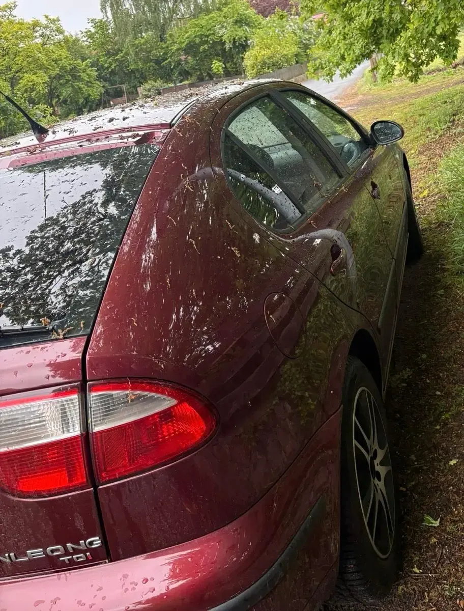 Gebraucht Seat Leon 110 PS (80 kW) 2003 Rot Kleinwagen
