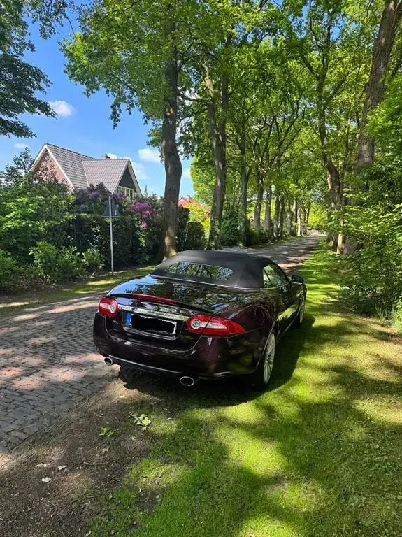 Gebraucht Jaguar XK Portfolio 385 PS (283 kW) 2011 Cabrio