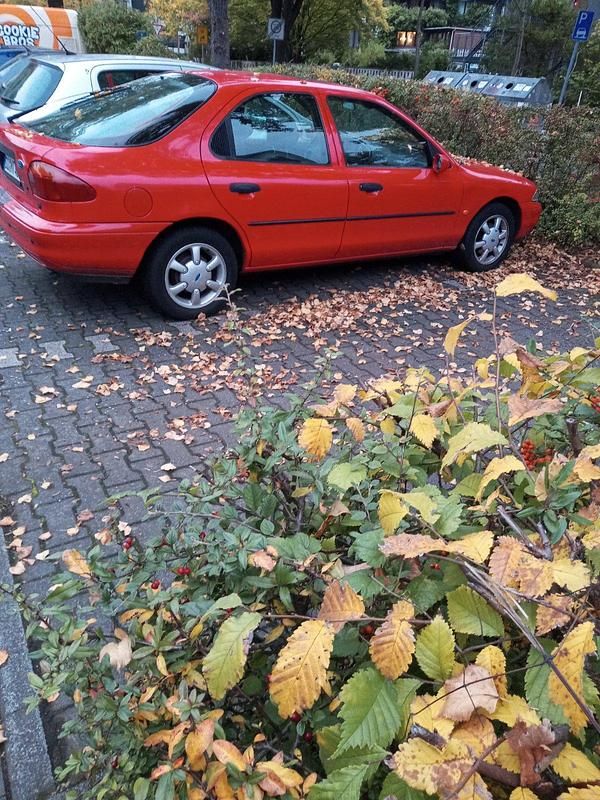 Rot Gebraucht 1995 Ford Mondeo Limousine | 1.250 € - Bild 1/3