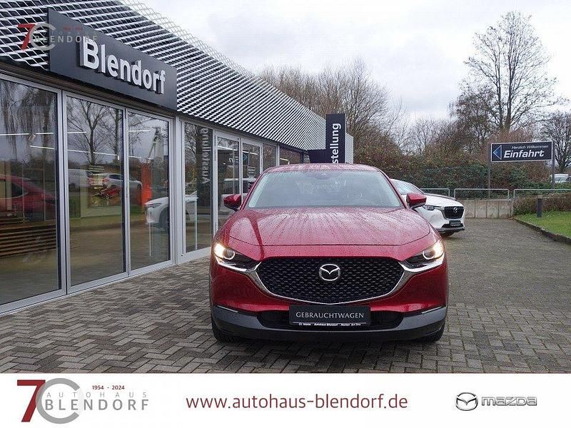 Gebraucht Mazda CX-30 Selection 150 PS (110 kW) 2023 Rot SUV
