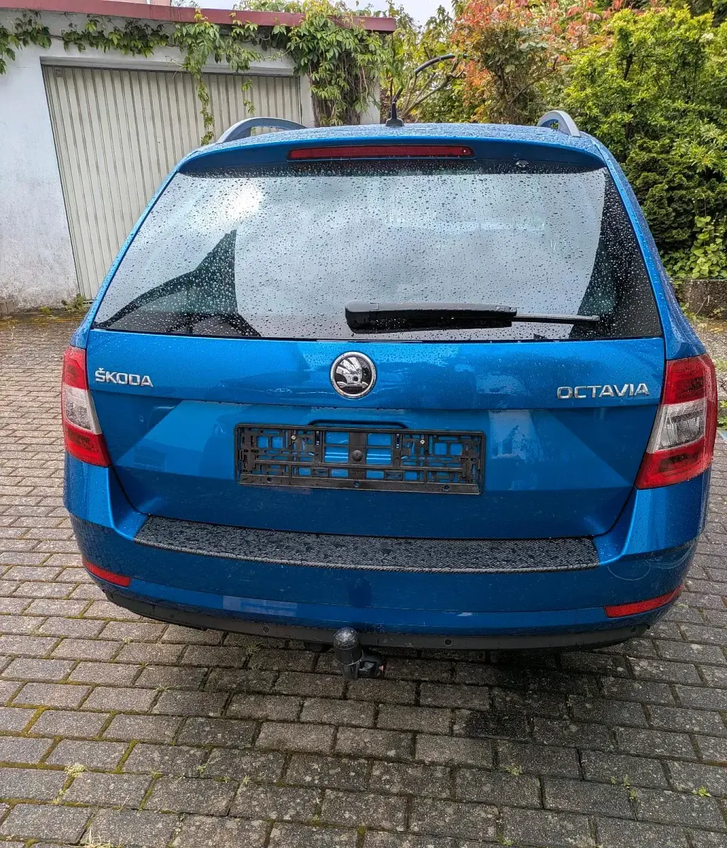 Gebraucht Skoda Octavia 150 PS (110 kW) 2017 Blau Kombi