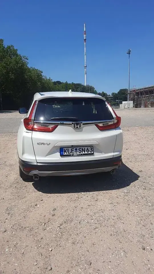 Gebraucht Honda CR-V Comfort 173 PS (127 kW) 2019 Weiß SUV