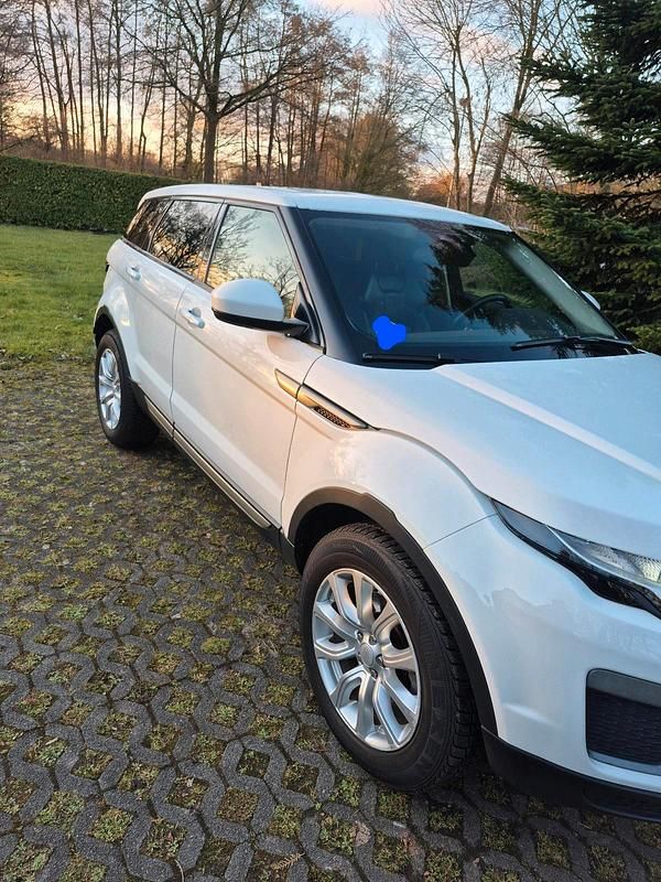 Gebraucht Land Rover Range Rover evoque 150 PS (110 kW) 2016 Weiß SUV