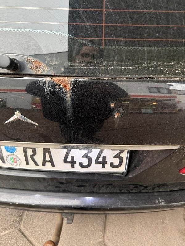 Gebraucht Mercedes E220 170 PS (125 kW) 2006 Schwarz Kombi