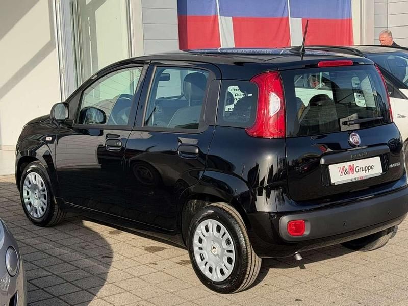 Neu Fiat Panda Icon 65 PS (47 kW) 2026 Passione rot Kleinwagen