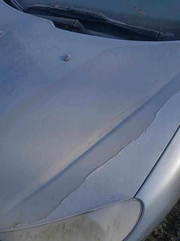 Gebraucht Peugeot 206 60 PS (44 kW) 2006 Silber Kleinwagen