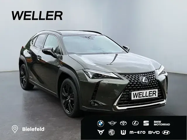 Gebraucht Lexus UX 250h 184 PS (135 kW) 2021 Gruen SUV