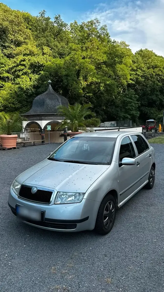Gebraucht Skoda Fabia 54 PS (39 kW) 2003 Silber Kleinwagen