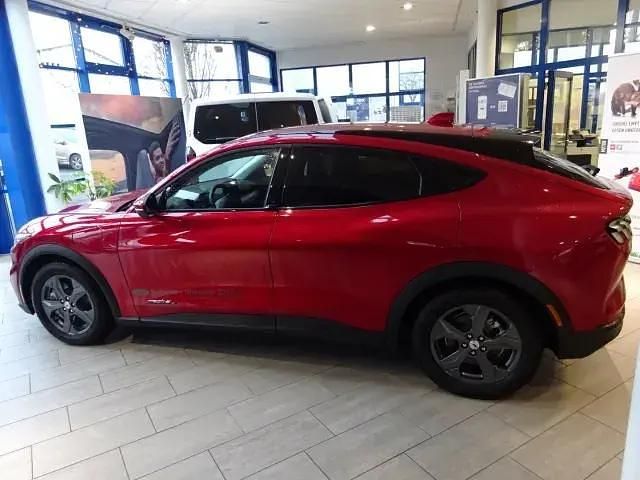 Gebraucht Ford Mustang Mach-E Basis 216 kW (294 PS) 2022 Lucidrot metallic SUV