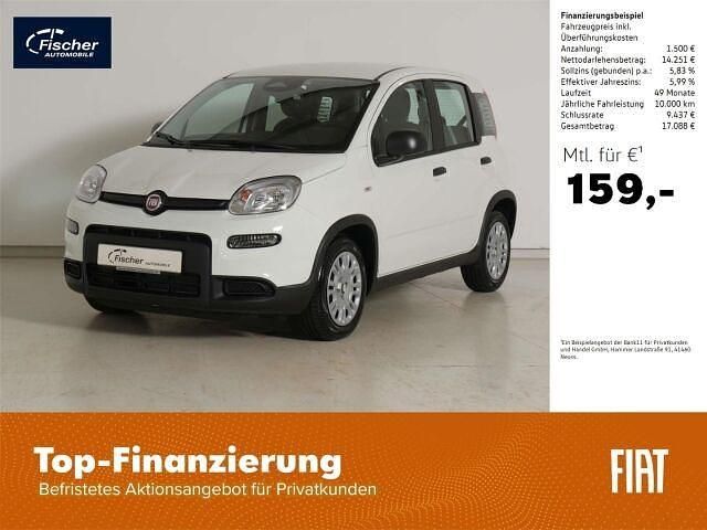 Gebraucht Fiat Panda 69 PS (50 kW) 2024 Weiss Kleinwagen