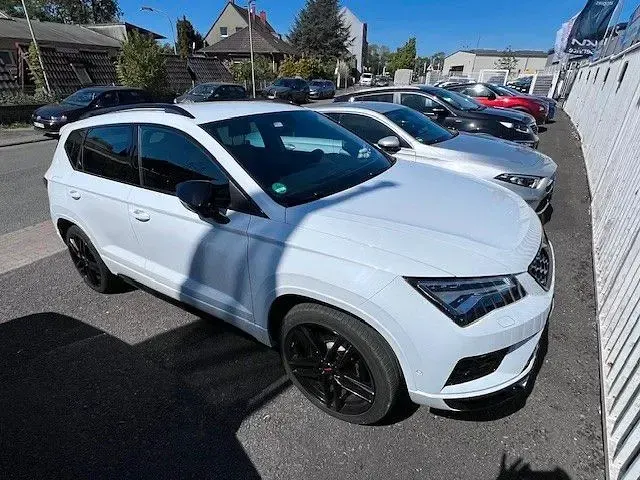 Usata Cupra Ateca Basis 300 CV (220 kW) 2019 Bianco SUV