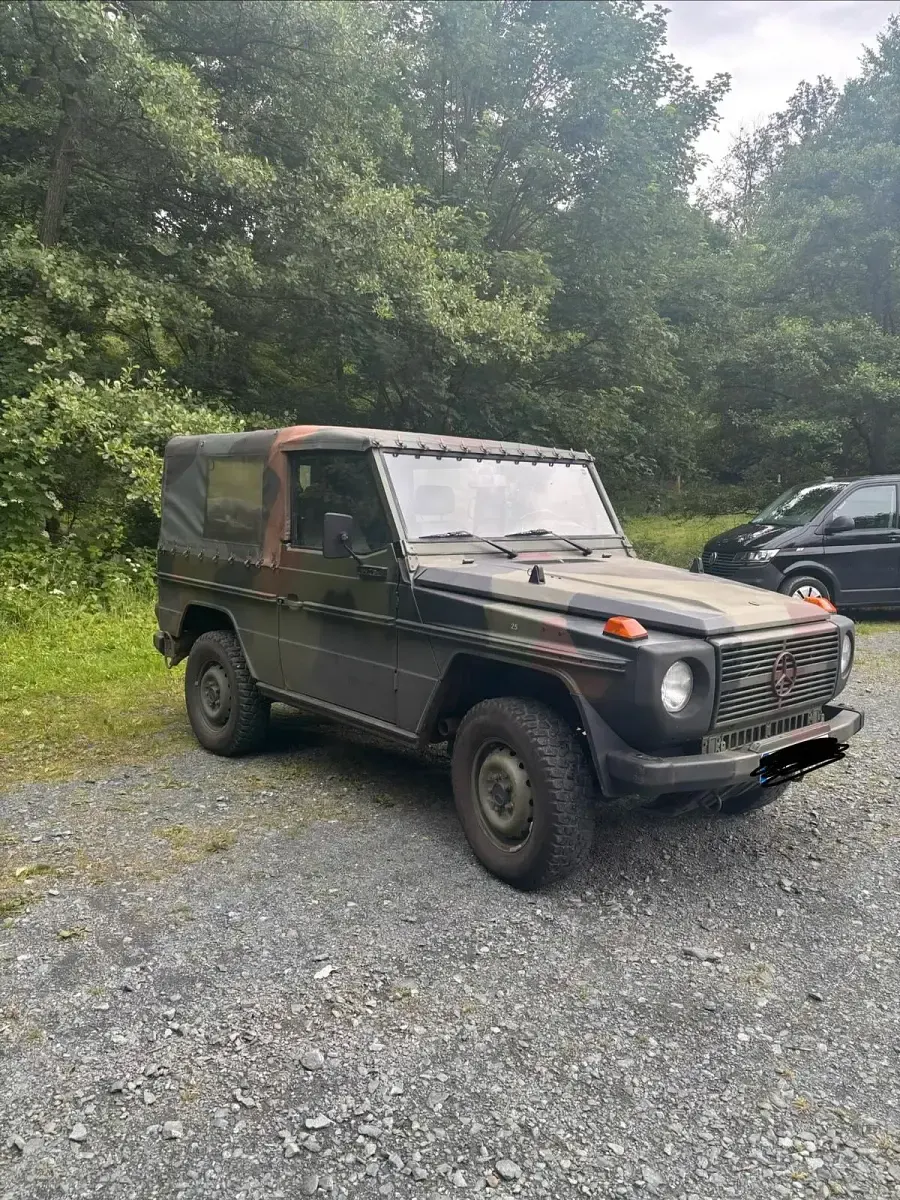 Gebraucht Mercedes G250 1991 Grün SUV