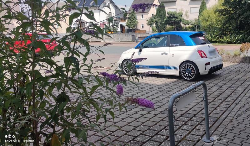 Gebraucht Abarth 595 165 PS (121 kW) 2016 Weiß Kleinwagen