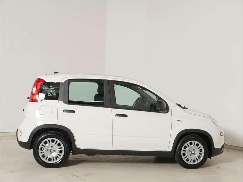Gebraucht Fiat Panda 69 PS (50 kW) 2024 Gelato weiß Kleinwagen