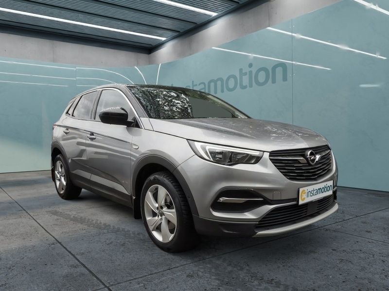 Grau Gebraucht 2019 Opel Grandland X Innovation SUV | 16.499 € (Etwas zu teuer) - Bild 1/4