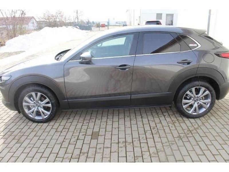 Gebraucht Mazda CX-30 Selection 122 PS (89 kW) 2021 Grau SUV