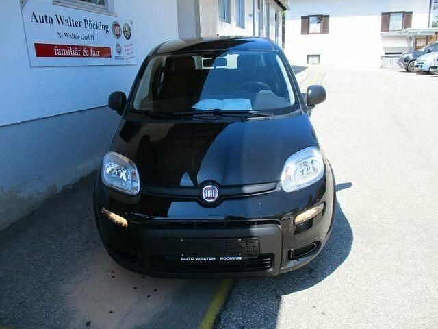 Gebraucht Fiat Panda 69 PS (50 kW) 2024 Schwarz Kleinwagen