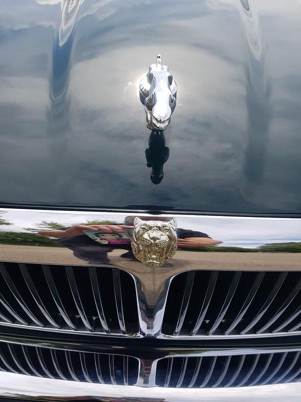 Grün Gebraucht 1996 Jaguar XJ Limousine | 18.900 € - Bild 1/4