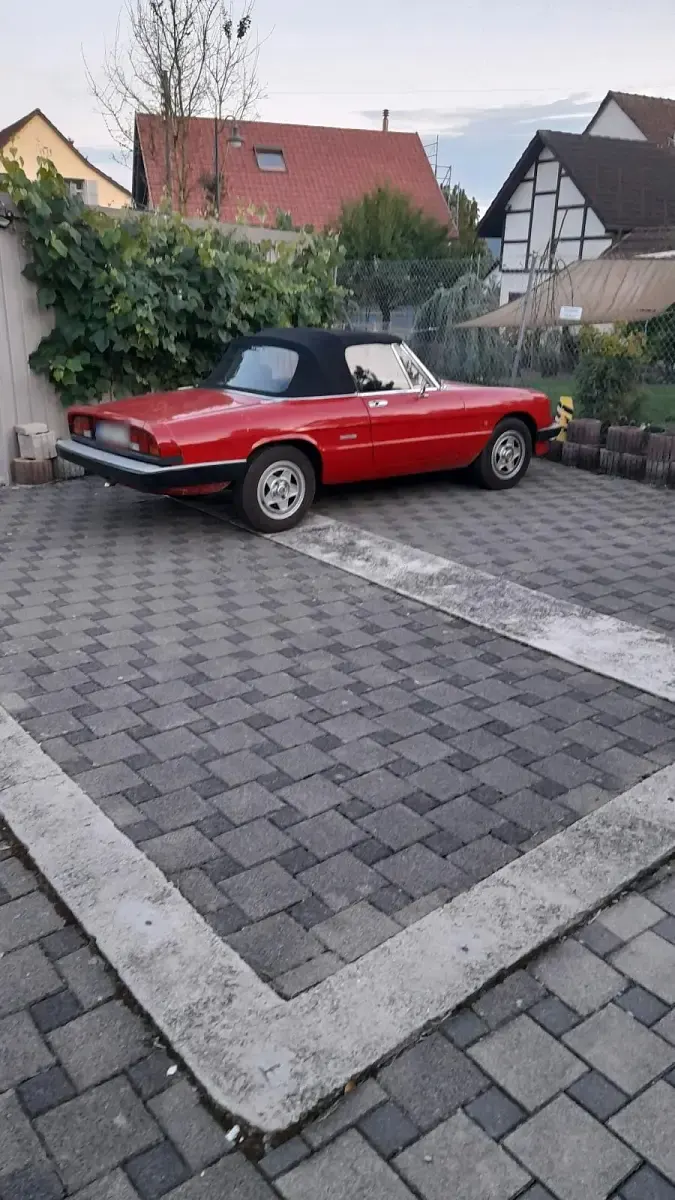 Gebraucht Alfa Romeo Spider 125 PS (91 kW) 1986 Rot Cabrio