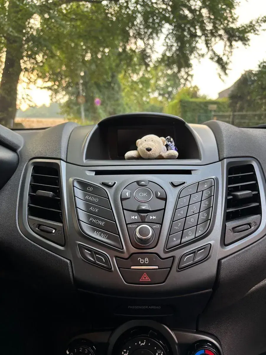 Gebraucht Ford Fiesta Trend 60 PS (44 kW) 2016 Grau Kleinwagen