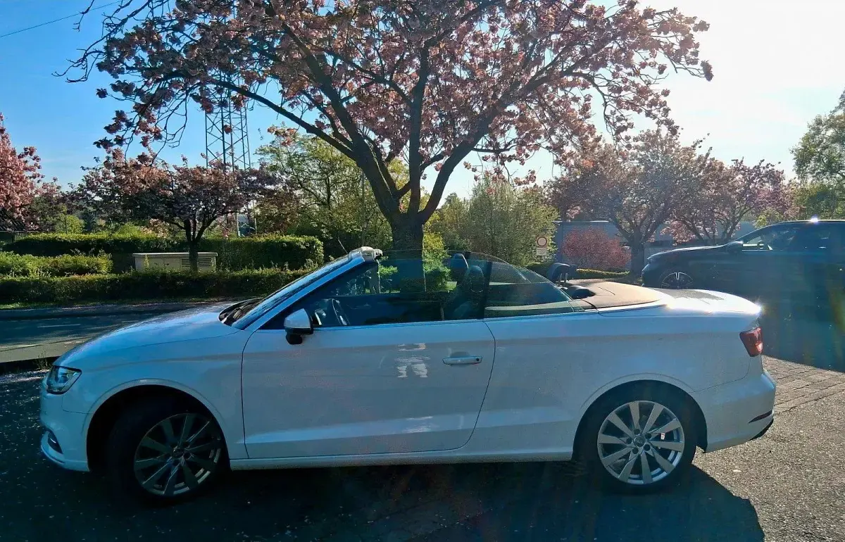 Gebraucht Audi A3 Cabriolet Design 150 PS (110 kW) 2019 Weiß Cabrio