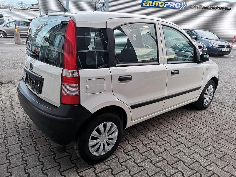 Gebraucht Fiat Panda Active 54 PS (39 kW) 2009 Weiß Kleinwagen