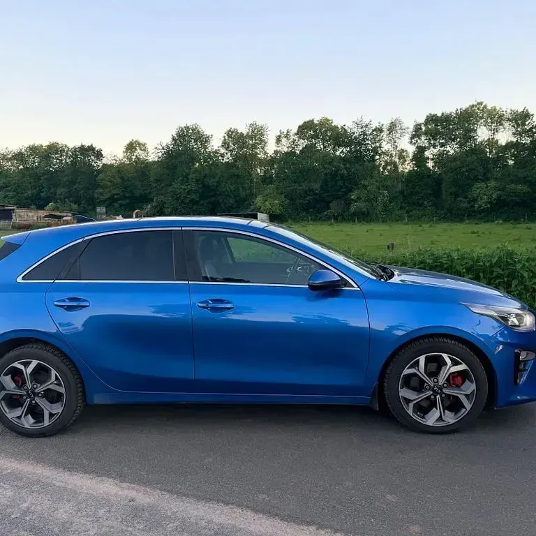 Gebraucht Kia Ceed 140 PS (102 kW) 2019 Blau Kleinwagen