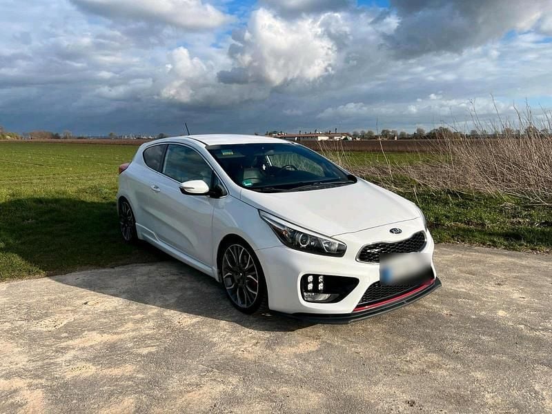 Gebraucht Kia ProCeed GT-Challenge 204 PS (150 kW) 2014 Weiß Kleinwagen