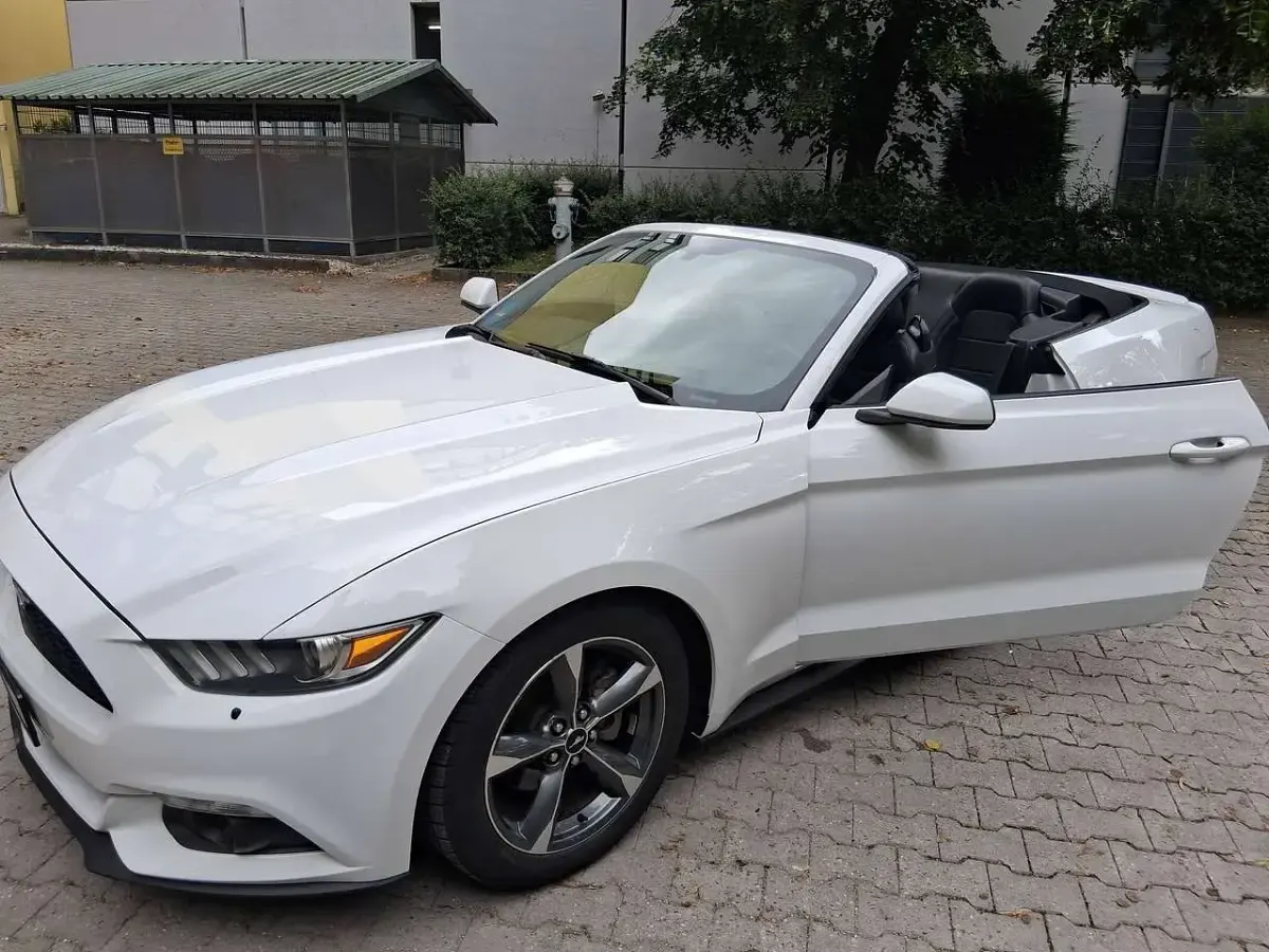 Gebraucht Ford Mustang 310 PS (228 kW) 2015 Weiß Cabrio