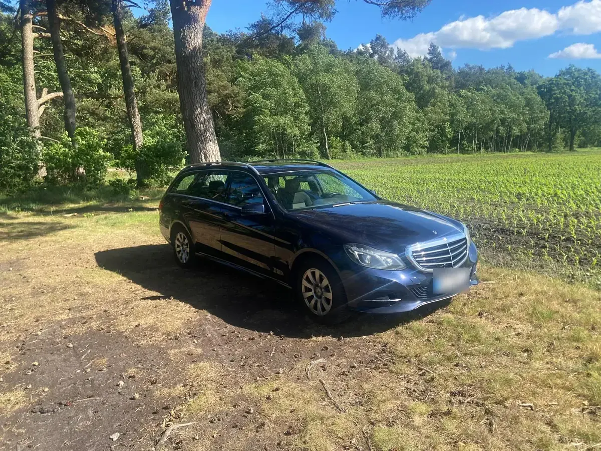 Gebraucht Mercedes E220 170 PS (125 kW) 2014 Kombi