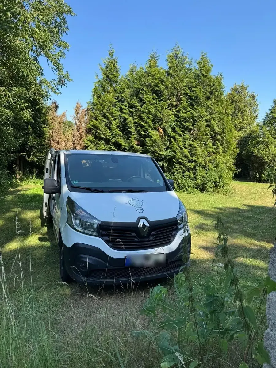 Gebraucht Renault Trafic 121 PS (88 kW) 2019 Weiß Van / Kleinbus