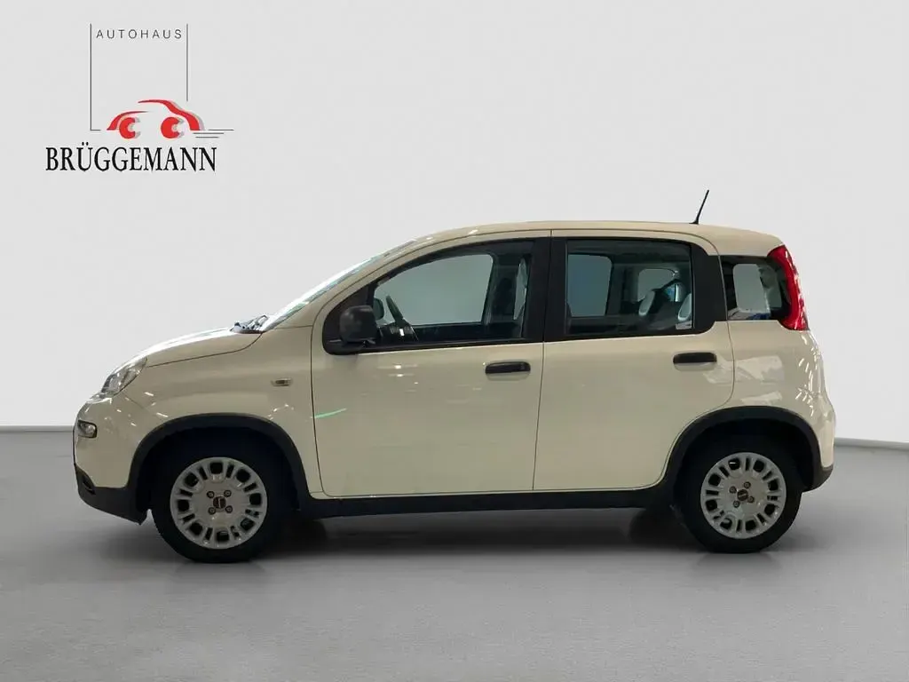 Gebraucht Fiat Panda Tech 69 PS (50 kW) 2023 Weiß Kleinwagen
