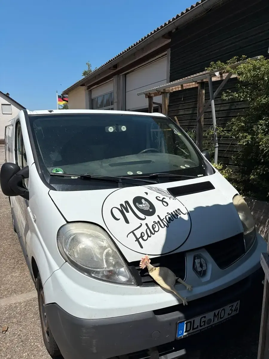 Gebraucht Renault Trafic 90 PS (66 kW) 2008 Weiß Van / Kleinbus