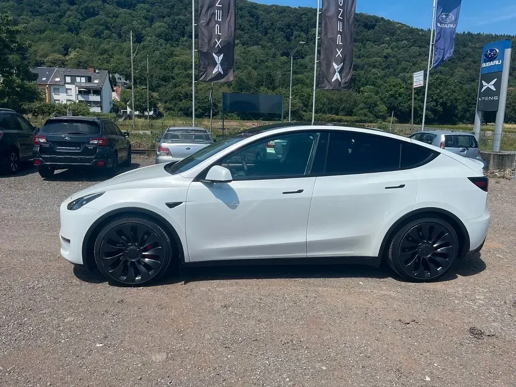 Gebraucht Tesla Model Y Performance 392 kW (534 PS) 2023 Weiß SUV