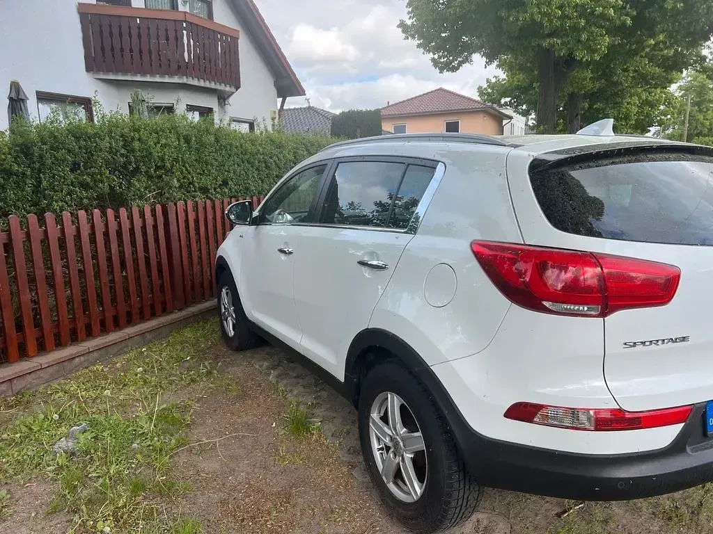 Gebraucht Kia Sportage Platinum Edition 184 PS (135 kW) 2015 Weiß SUV