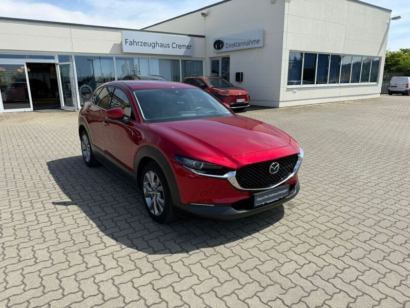 Gebraucht Mazda CX-30 Selection 122 PS (89 kW) 2019 Rot SUV
