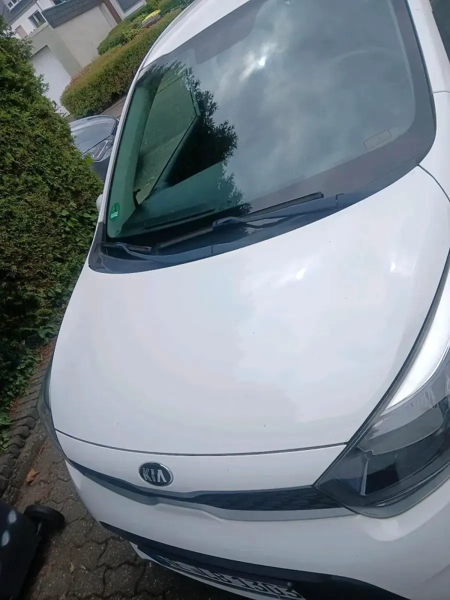 Gebraucht Kia Picanto 64 PS (47 kW) 2017 Weiß Kleinwagen