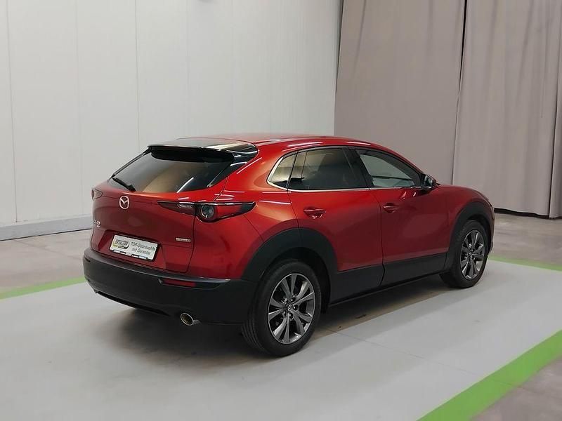 Gebraucht Mazda CX-30 Selection 186 PS (136 kW) 2021 Rot SUV