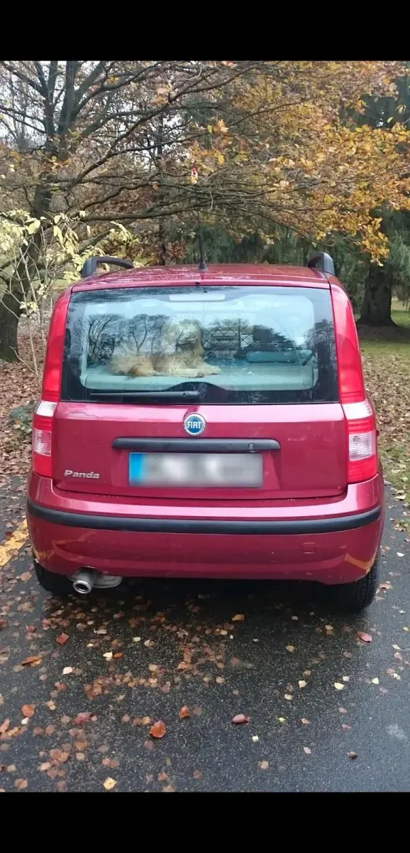 Gebraucht Fiat Panda 60 PS (44 kW) 2004 Rot Kleinwagen