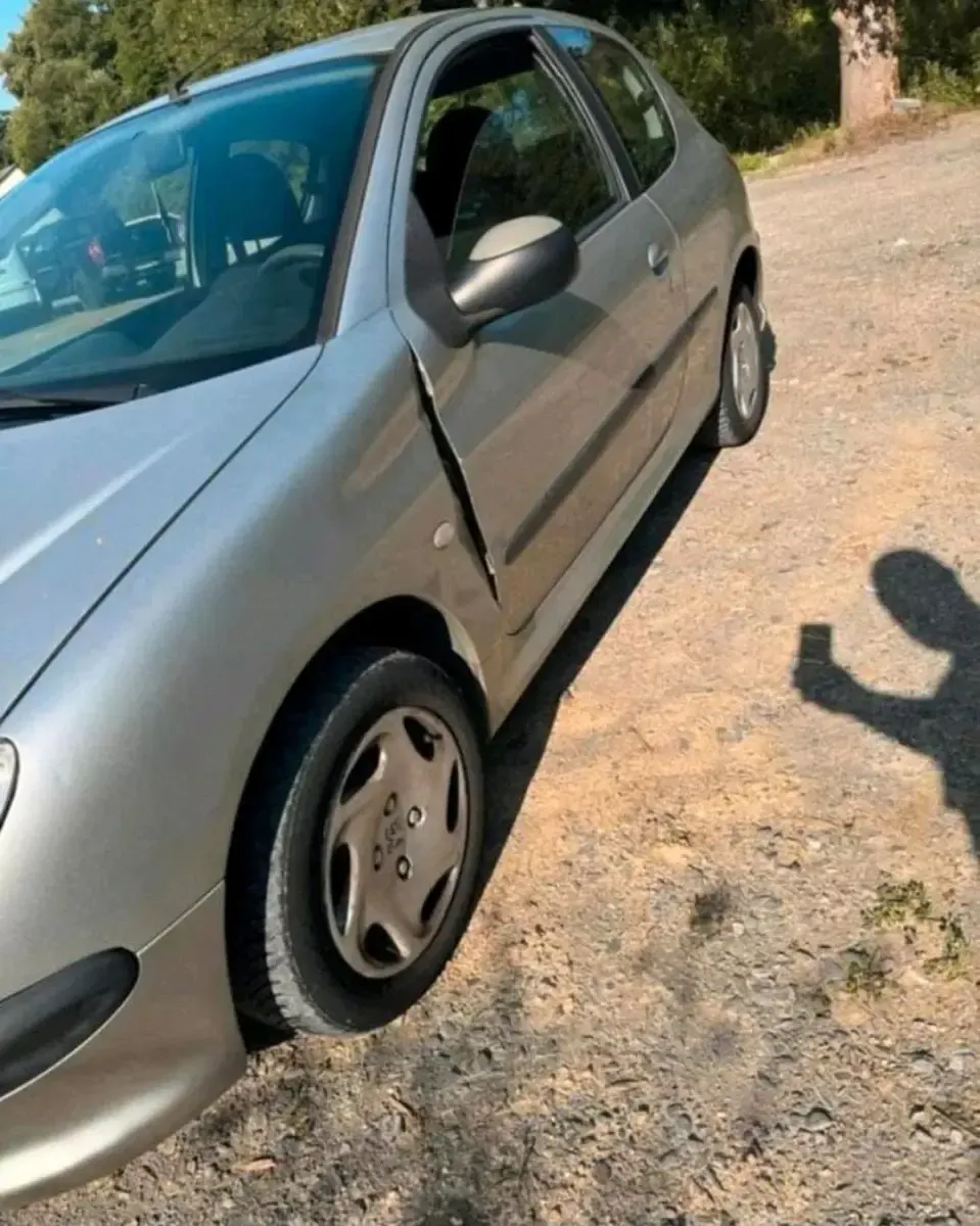 Używany Peugeot 206 60 KM (44 kW) 2004 Srebrny Hatchback
