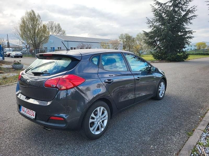 Gebraucht Kia Ceed 135 PS (99 kW) 2015 Grau Kleinwagen