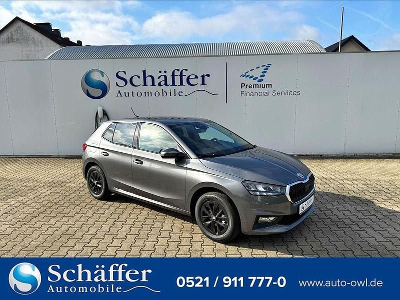 Grau Gebraucht 2024 Skoda Fabia Selection Kleinwagen | 18.490 € (Fairer Preis) - Bild 1/4